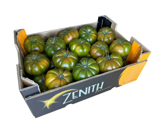 freepik_br_ccbcef24-f492-4067-80e1-d7485800d475